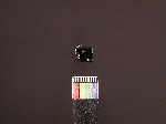 L_V19d8268 J1q802.1 Ux09 dM la f226 obsidian